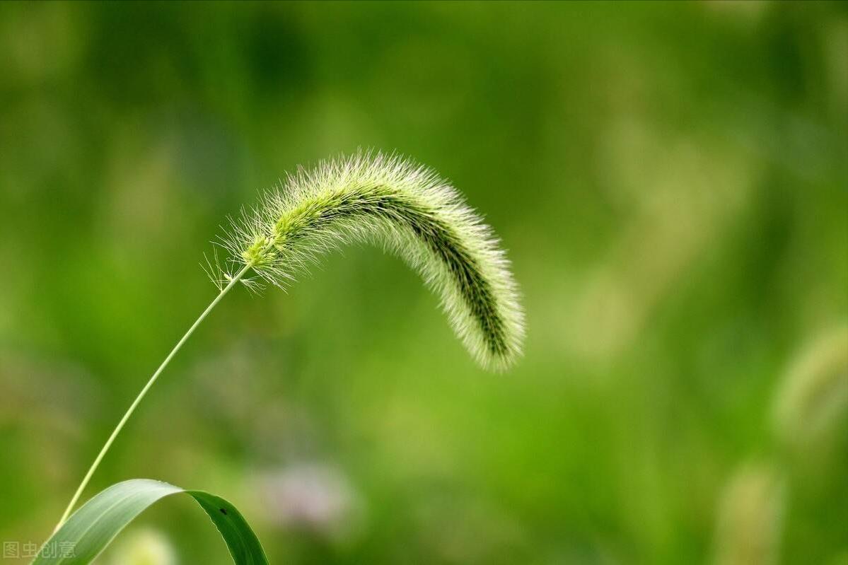 家中三不留荣华永不休,民间老话说家中三不留富贵永不休