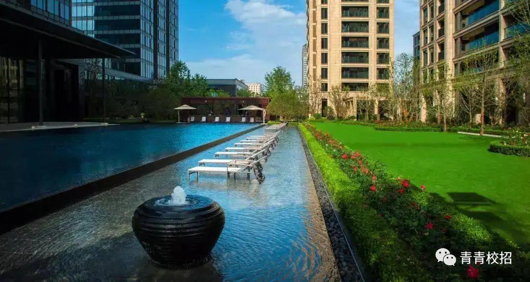 绿城建筑科技有限公司招聘,绿城地产招聘