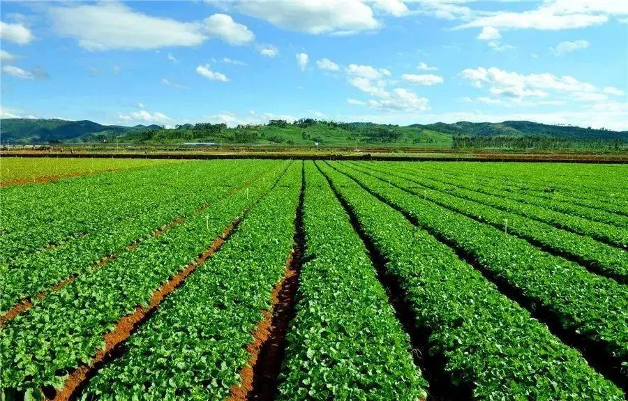 奋进新时代建功新征程走进老区,泸西红土地