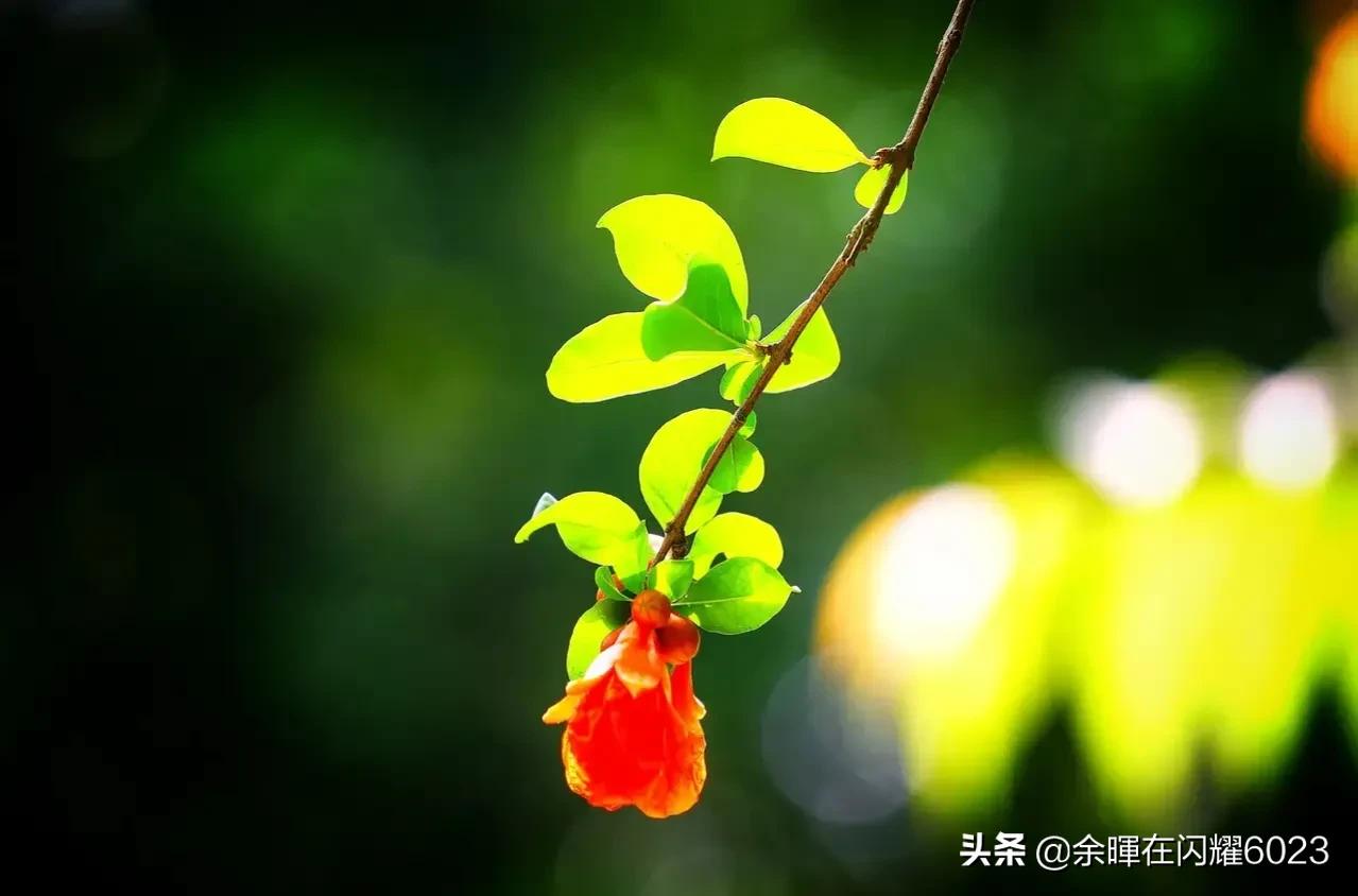 元条小头折断将幻影打下车去她重伤入院