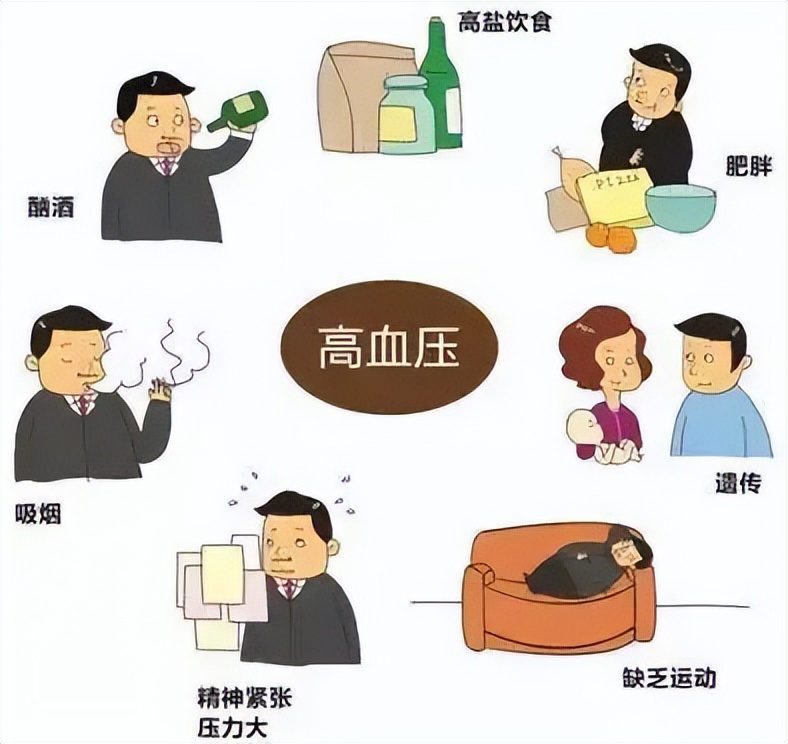 我不胖但为什么还是有高血压,我不胖为什么血脂高