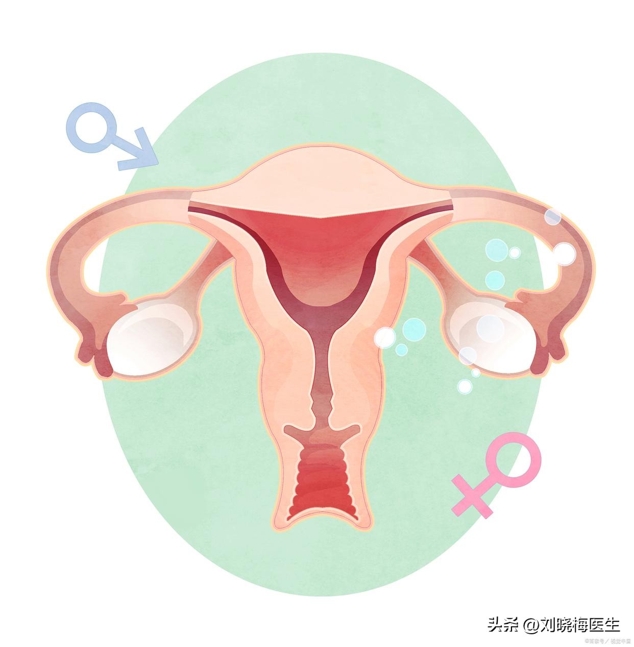 子宫腺肌症疼得忍受不了怎么办,子宫腺肌引起的疼痛打什么针治疗