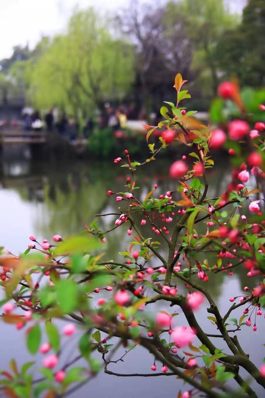 清明十首最好诗赏析,清明节诗词作品