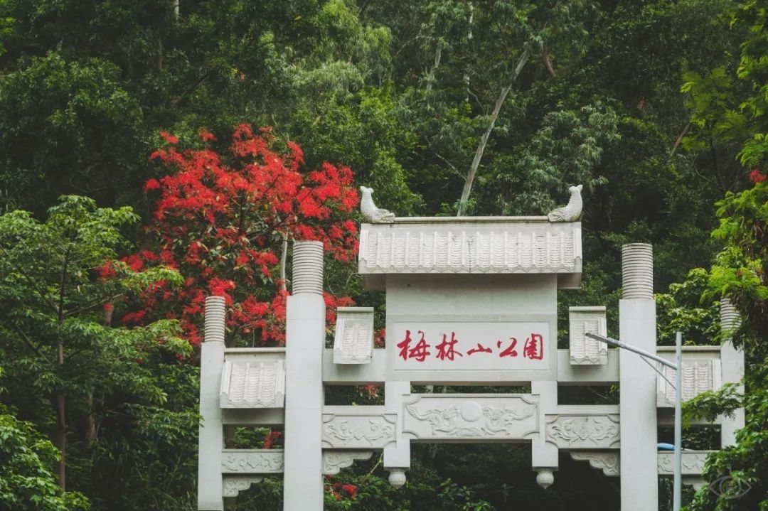 深圳值得去的70个公园你去过几个,深圳最值得去的七大主题公园