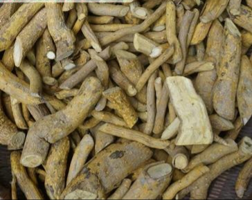 两面针和什么植物很像,两面针植物的种植方法