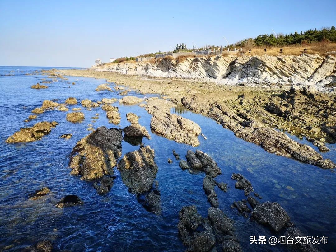 烟台养马岛夏季,烟台养马岛什么天气适合去