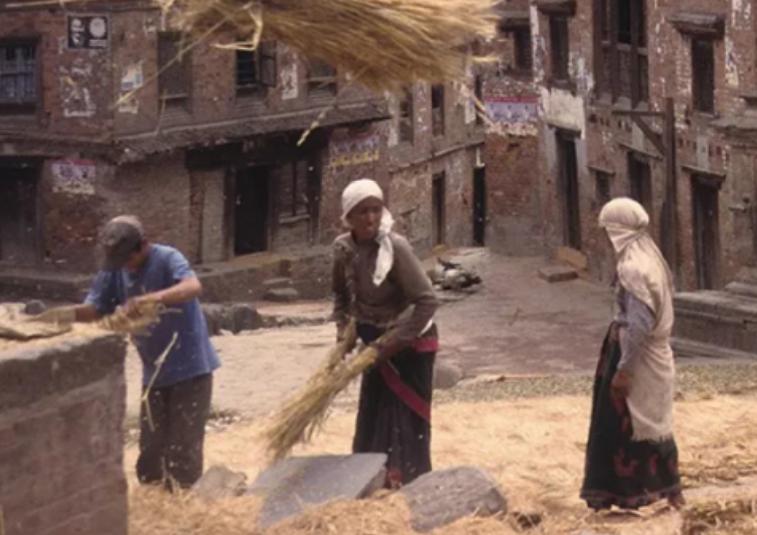 尼泊尔“肾谷”：村民拿命换钱，卖肾钱发财买房，人均身负一道疤