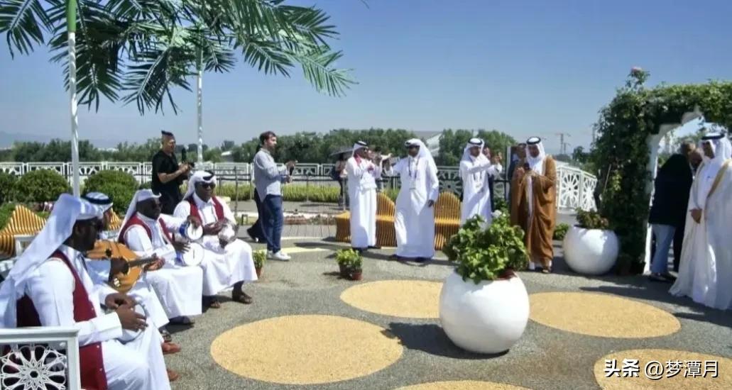 关于卡塔尔的“冷知识”,卡塔尔不得不知的30件事