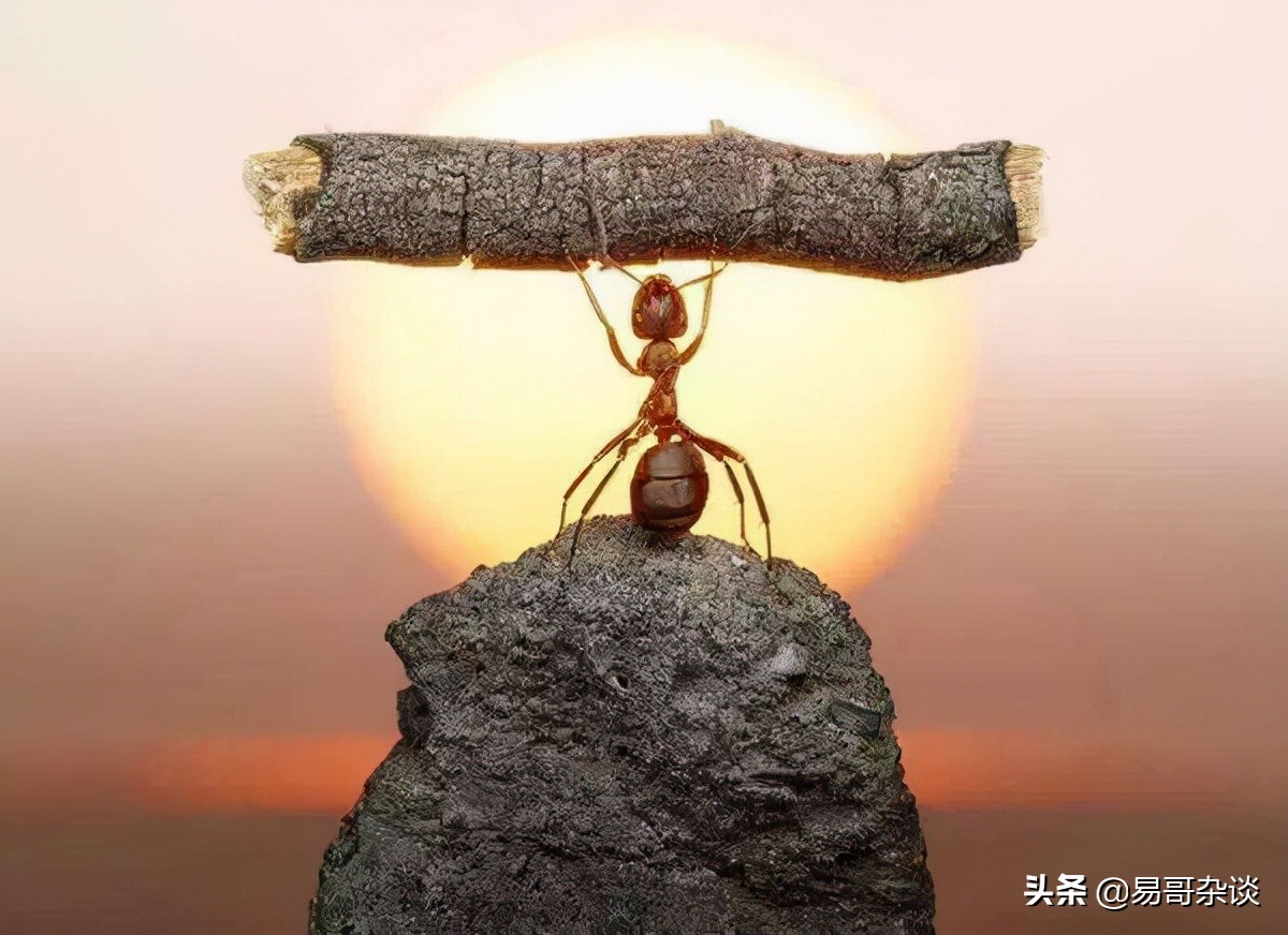 雪域之吻26,雪域之吻全集