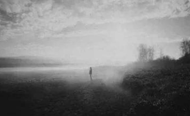 一个被“不伦之恋”诅咒的家族，《百年孤独》道尽人类荒诞的欲望