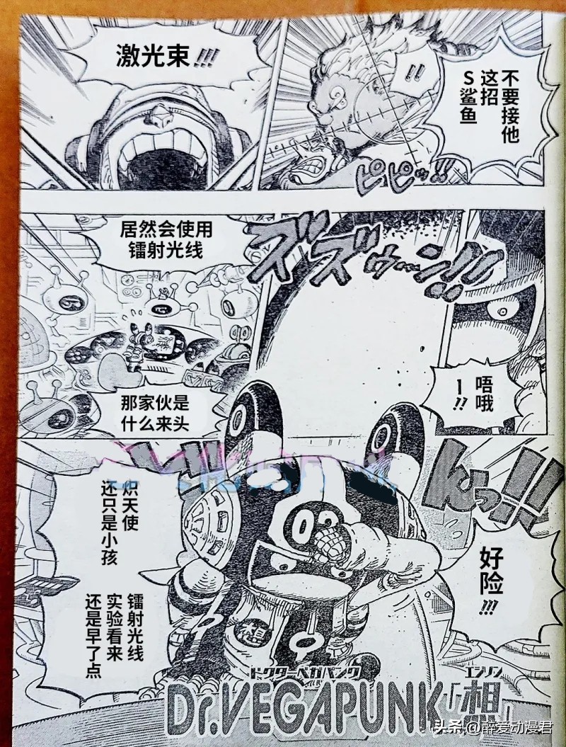 海贼王1065话索隆,海贼王1092话情报机器人