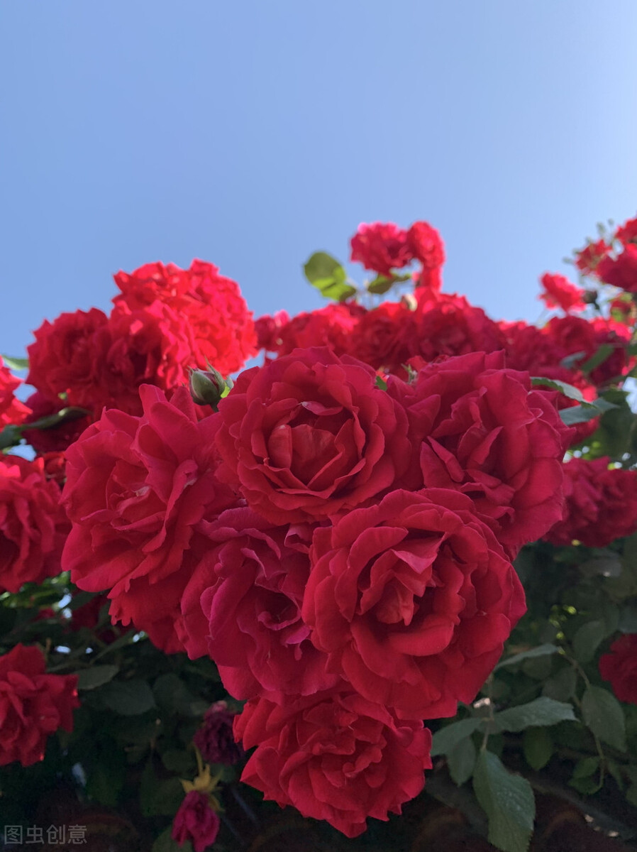 郭进拴走进静升镇,郭进拴原创长篇