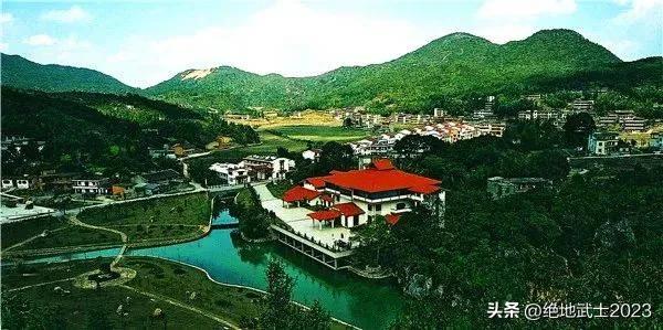 石中之王田黄石鉴赏,七十年代寿山田黄印石