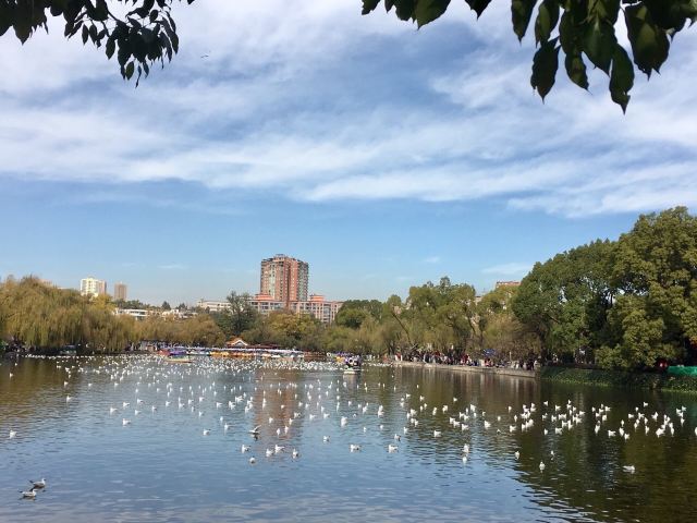 云南旅游攻略昆明旅游攻略,云南昆明旅游攻略