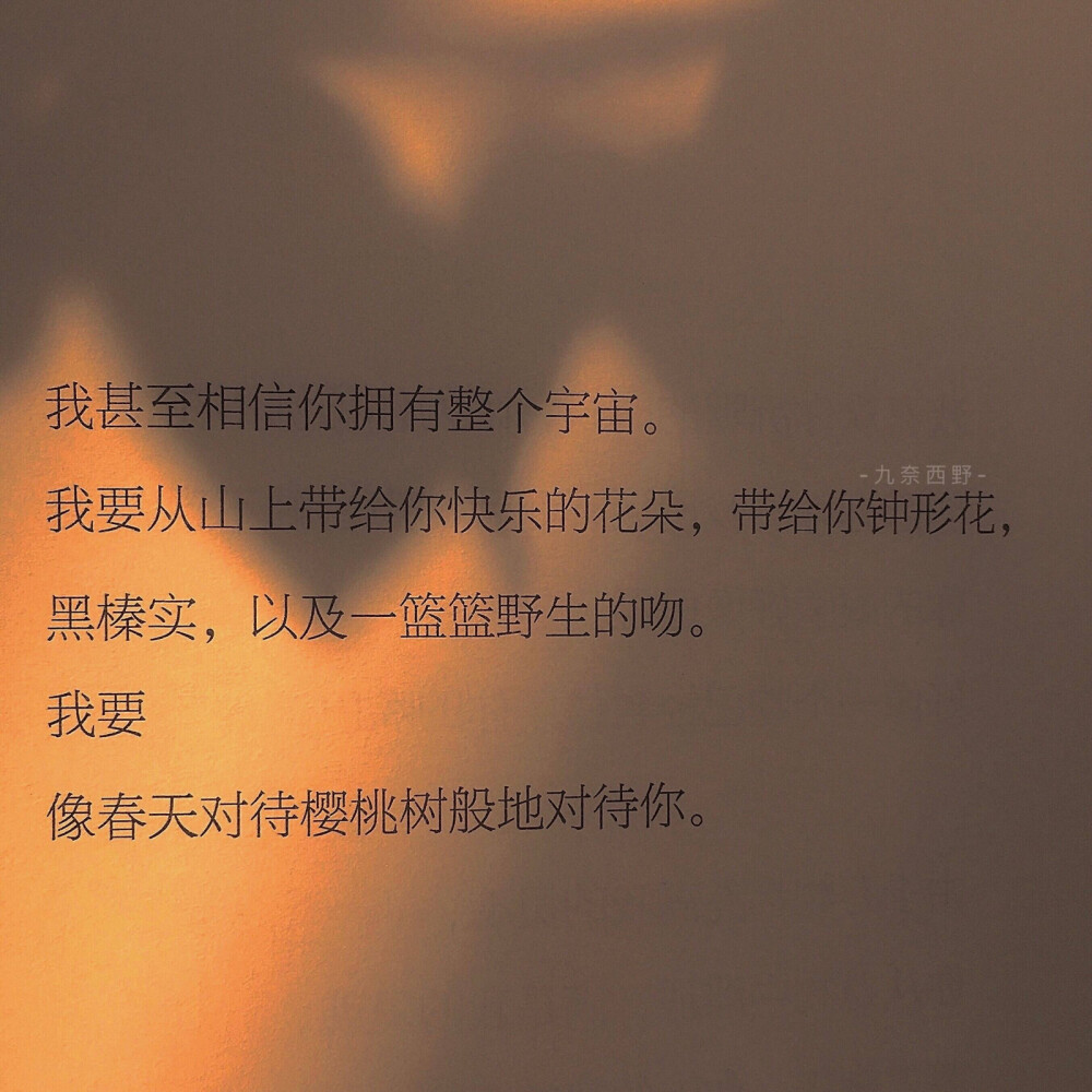 冷是冷了些,如果无酒,又无火炉,就请把这些诗拿去焚而取暖
