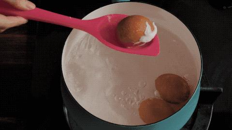 鸡蛋最新的营养价值,鸡蛋的最大营养价值是什么