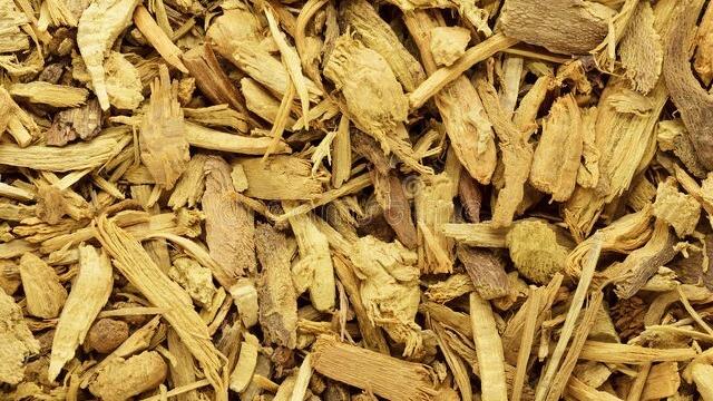 带下病湿热下注可选择的中成药,湿热下注所引起带下病用药