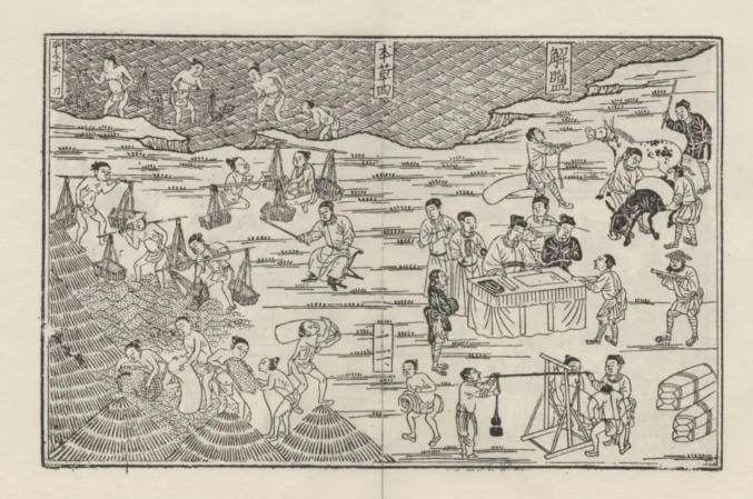 古代的盐非常昂贵,古代盐那么贵为什么不烧海水