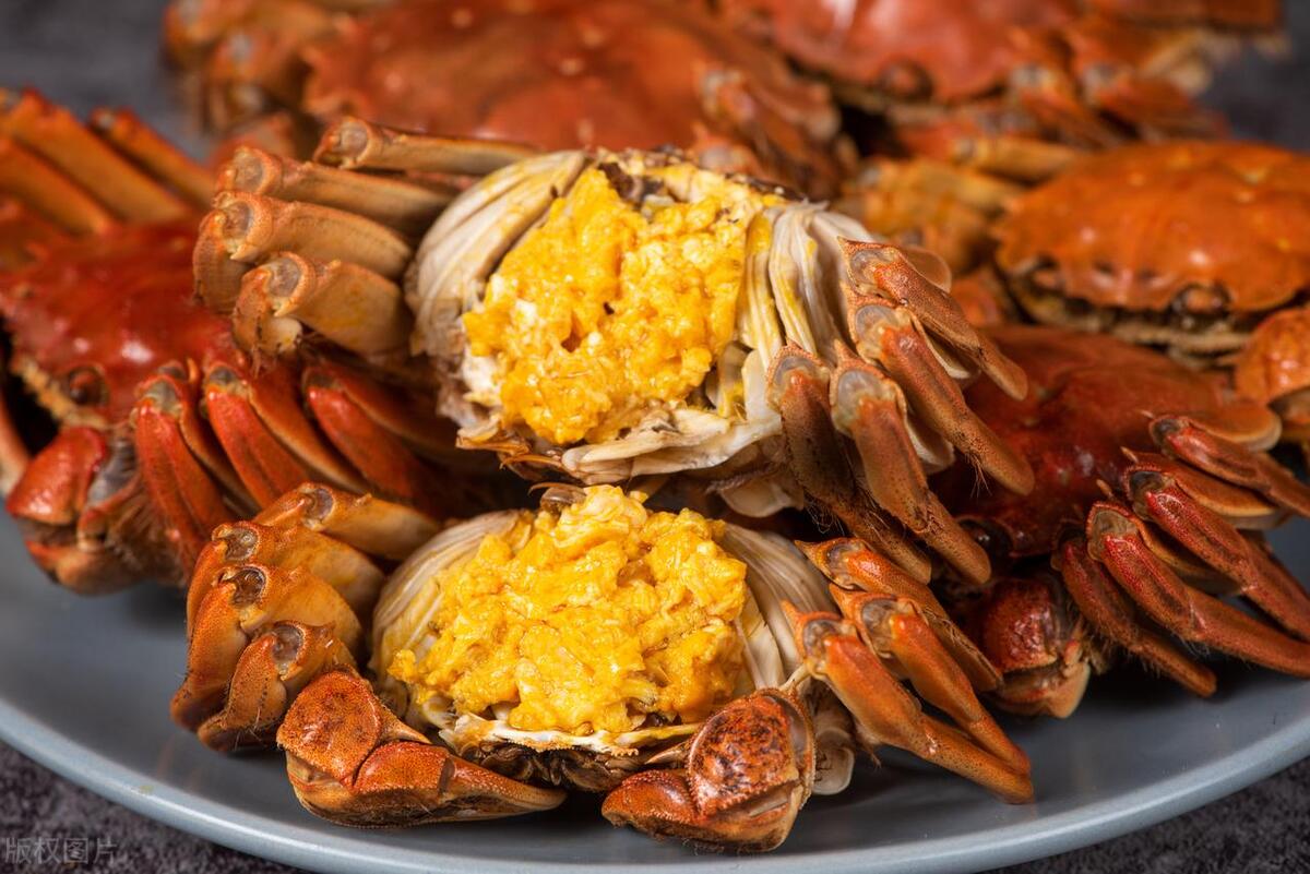 六月黄大闸蟹什么意思,六月黄大闸蟹