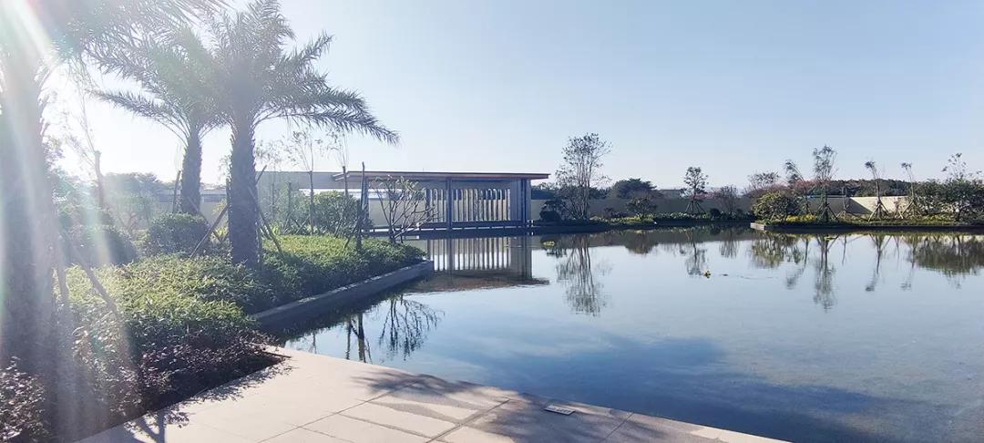 佛山雅居乐新明珠位置,雅居乐新明珠