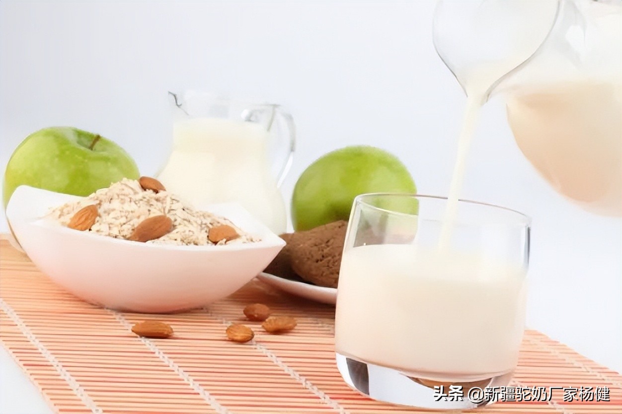 骆驼奶与牛奶的营养差别有多少,骆驼奶和牛奶营养成分区别