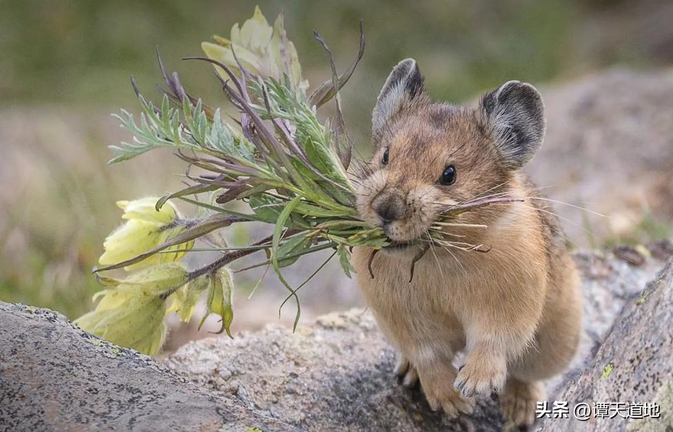 鹤岗网红城市,全国房价最便宜的城市鹤岗