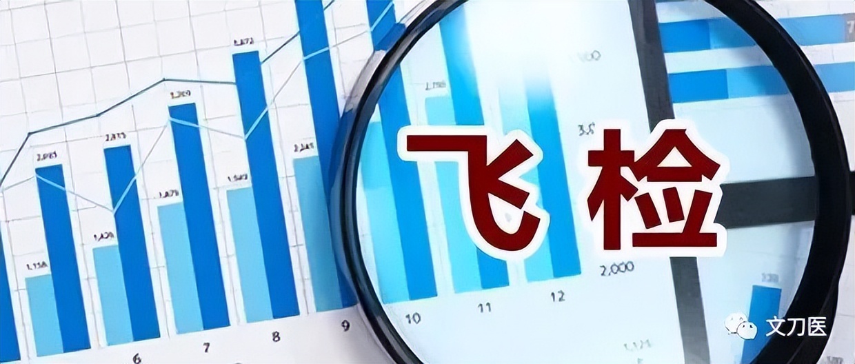 飞行检查与专项检查,飞行检查