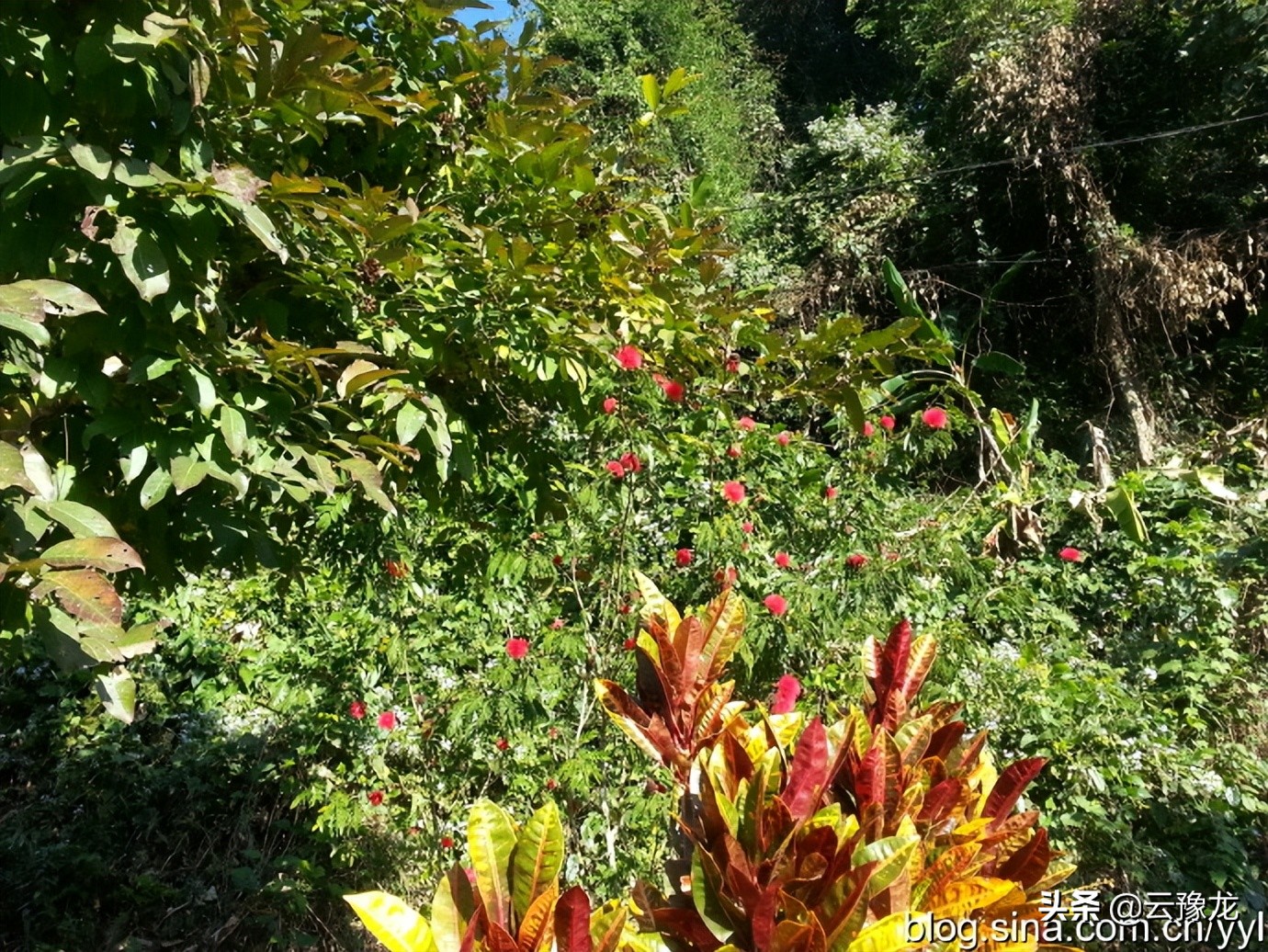 西双版纳磨憨自驾游攻略,自驾游云南版纳旅游攻略