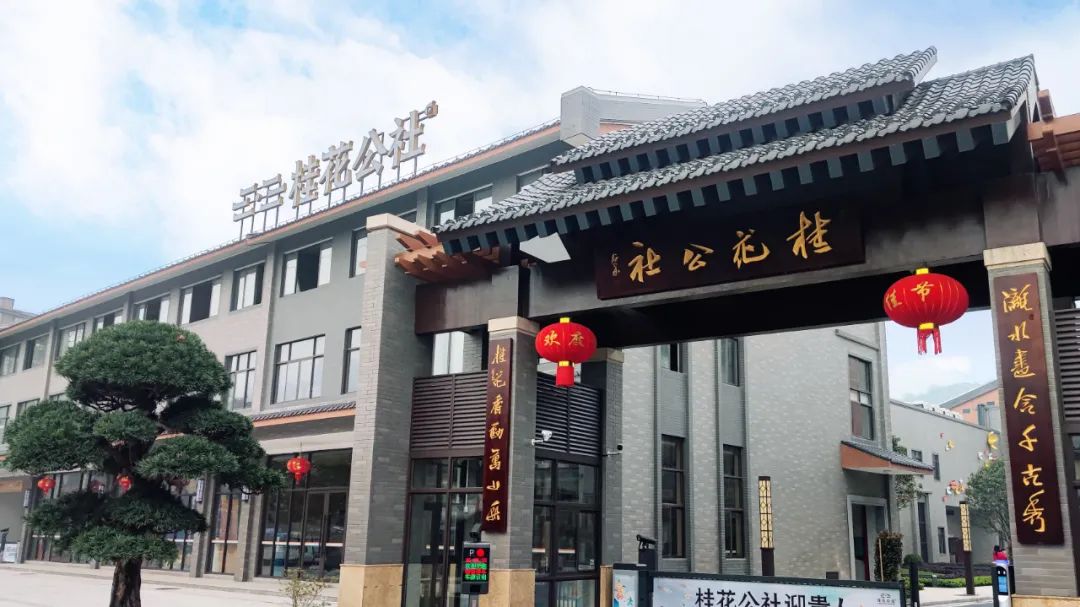 妗傛灄缇庨琛楁鑺辩硶,妗傛灄姝ｉ槼姝ヨ琛楃編椋熸鑺辩硶