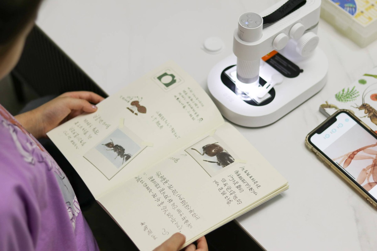 孩子从沉迷手机到主动学习,孩子从玩手机到认真学习的蜕变