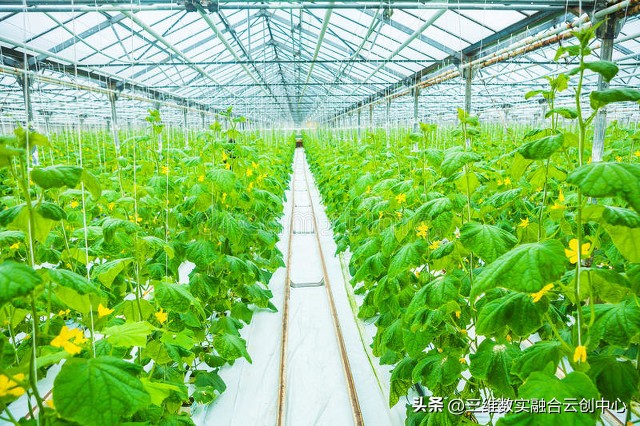 农业发展重点突破,农业创新发展模式