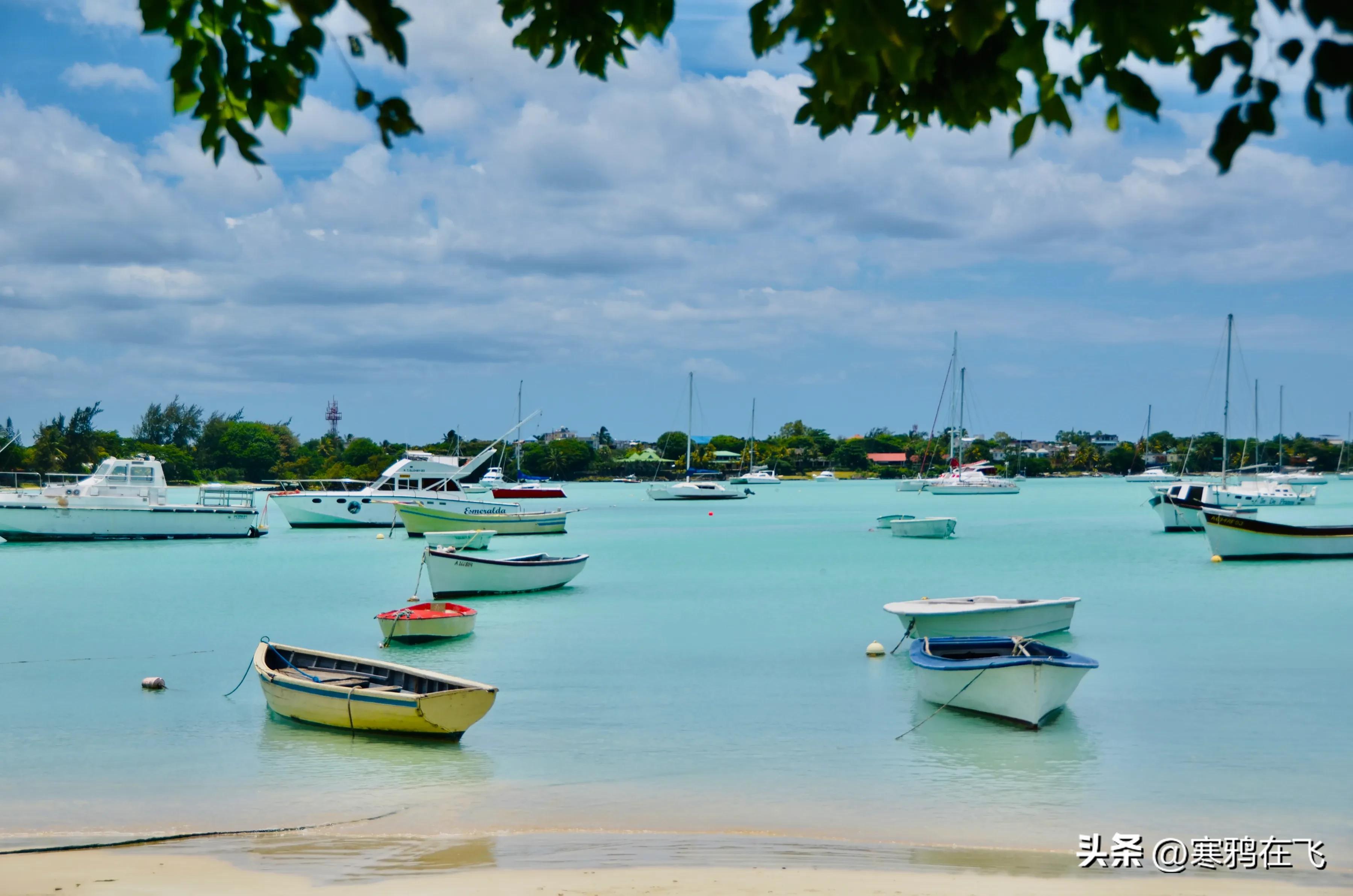 毛里求斯鹦鹉灭绝时间,毛里求斯有许多渡渡鸟吗