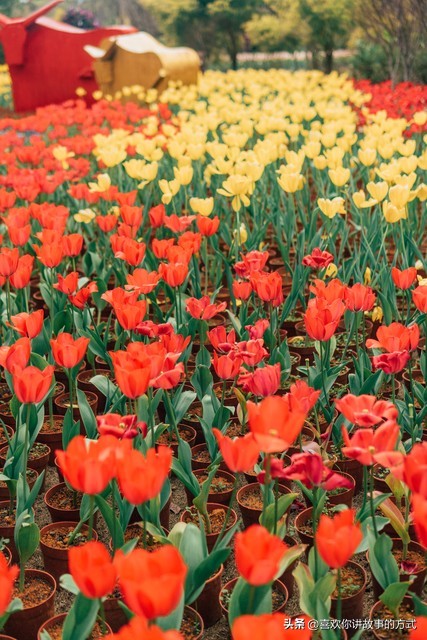 花季芳华时节雨纷纷