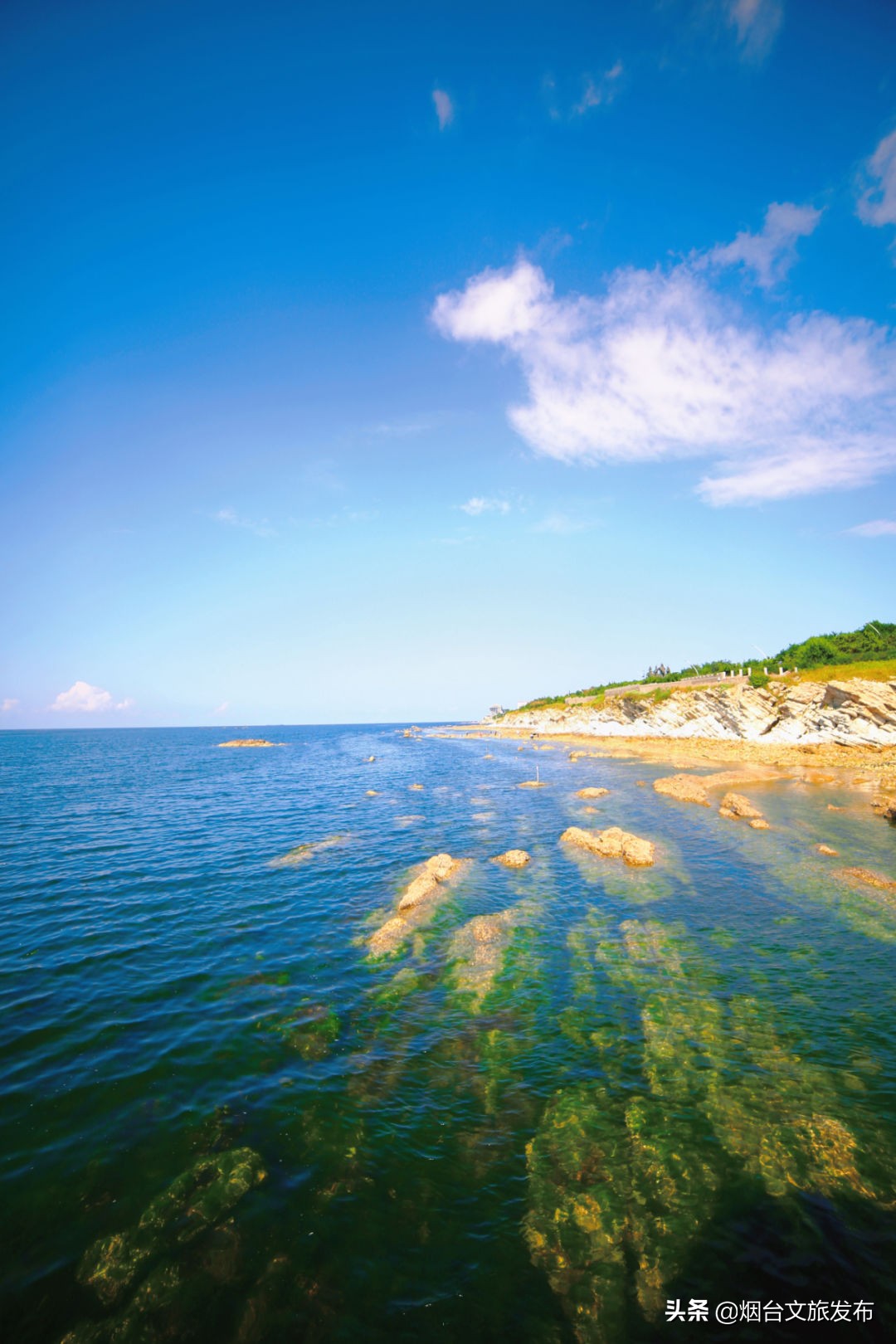 养马岛旅游真实感受,威海岛屿小众养马岛