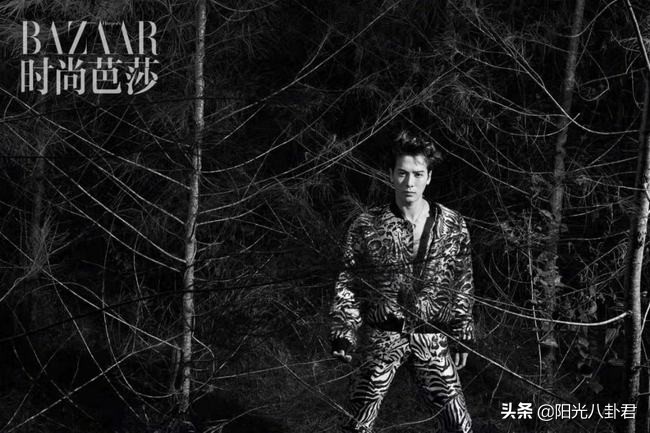 王嘉尔vivo新款手机,vivos12王嘉尔发布会