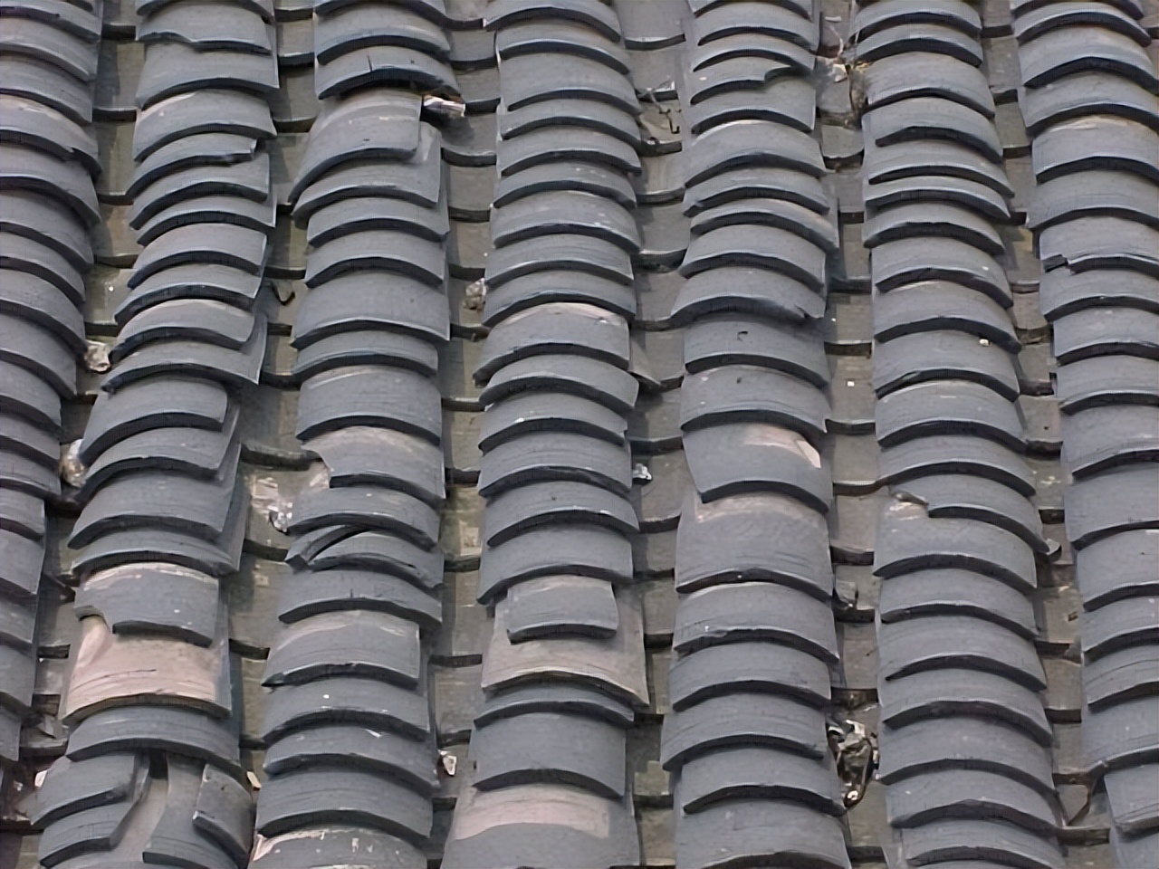 养花缺氮肥怎么办,养花收空盆