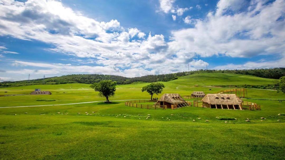 大连农业有发展吗,大连海洋渔业发展现状