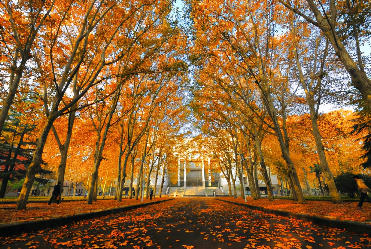 郑州三大有名大学,福州大学郑州大学南昌大学哪个好