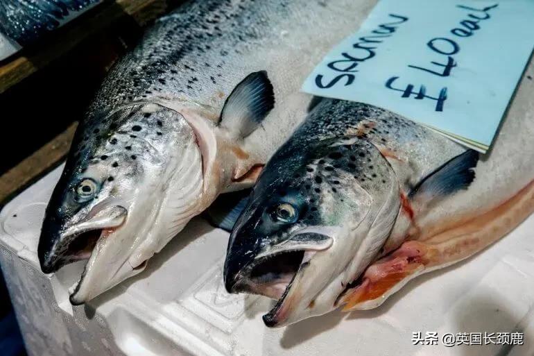 在伦敦哪里买新鲜的海鲜,伦敦海鲜市场买什么海鲜