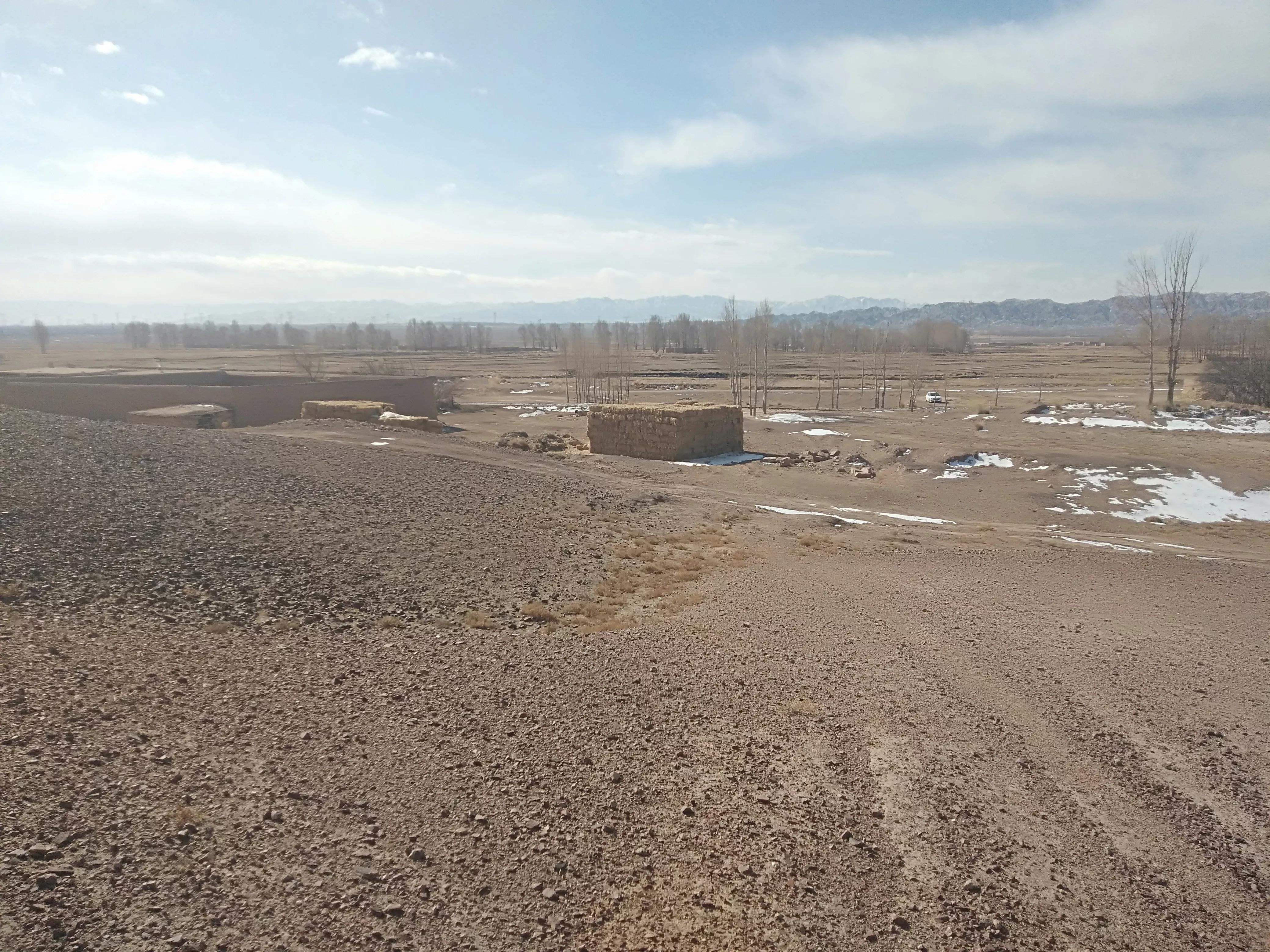 养牛究竟挣钱吗,养牛行业值不值得入行