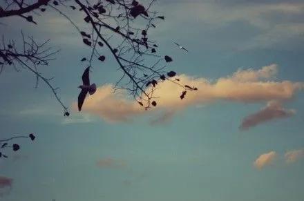 人生百味谁能不累熬过就是重生,人生百味谁能不累熬过了就是重生