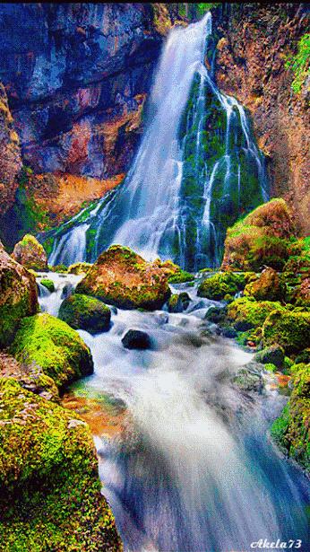 好看的山水花鸟大全,中国风山水花鸟图片