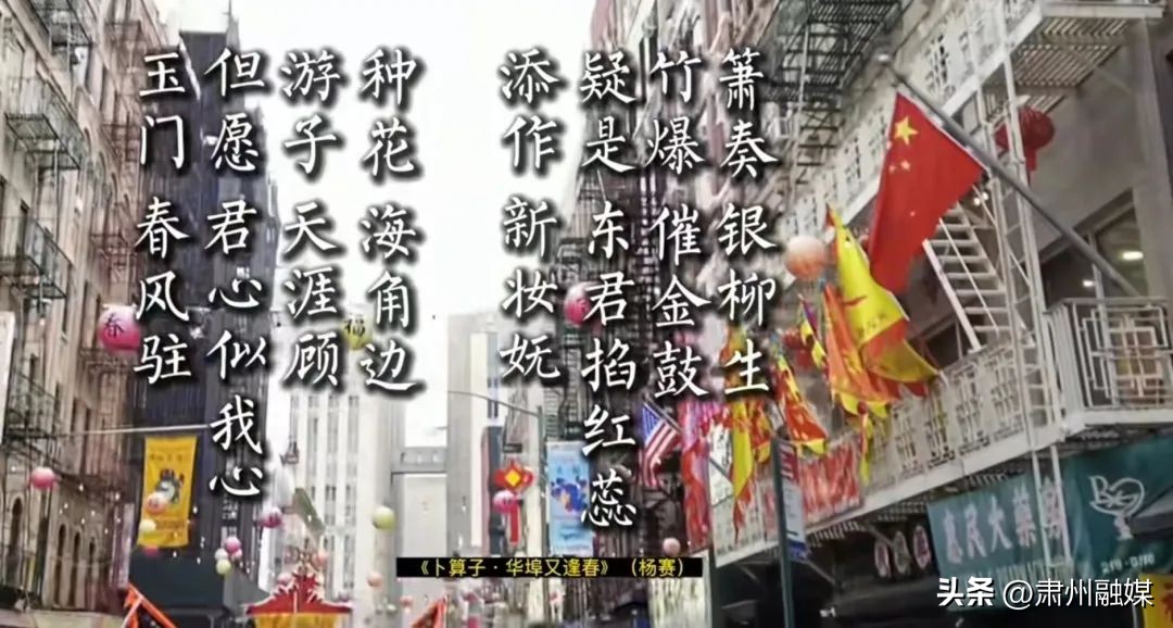 安徽姑娘在纽约,安徽女孩在纽约教书