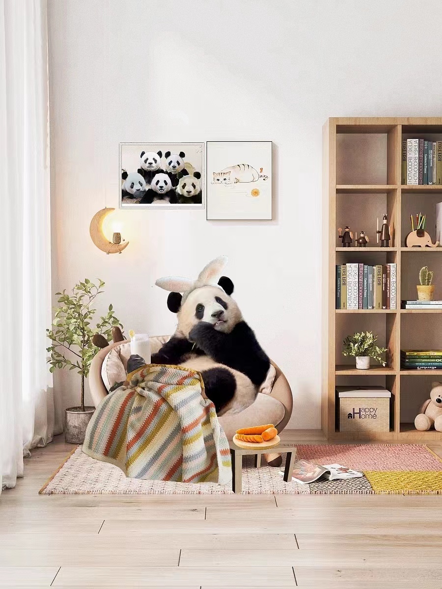 近期福宝和姜爷爷的视频,福宝回国姜爷爷和宋爷爷上热搜