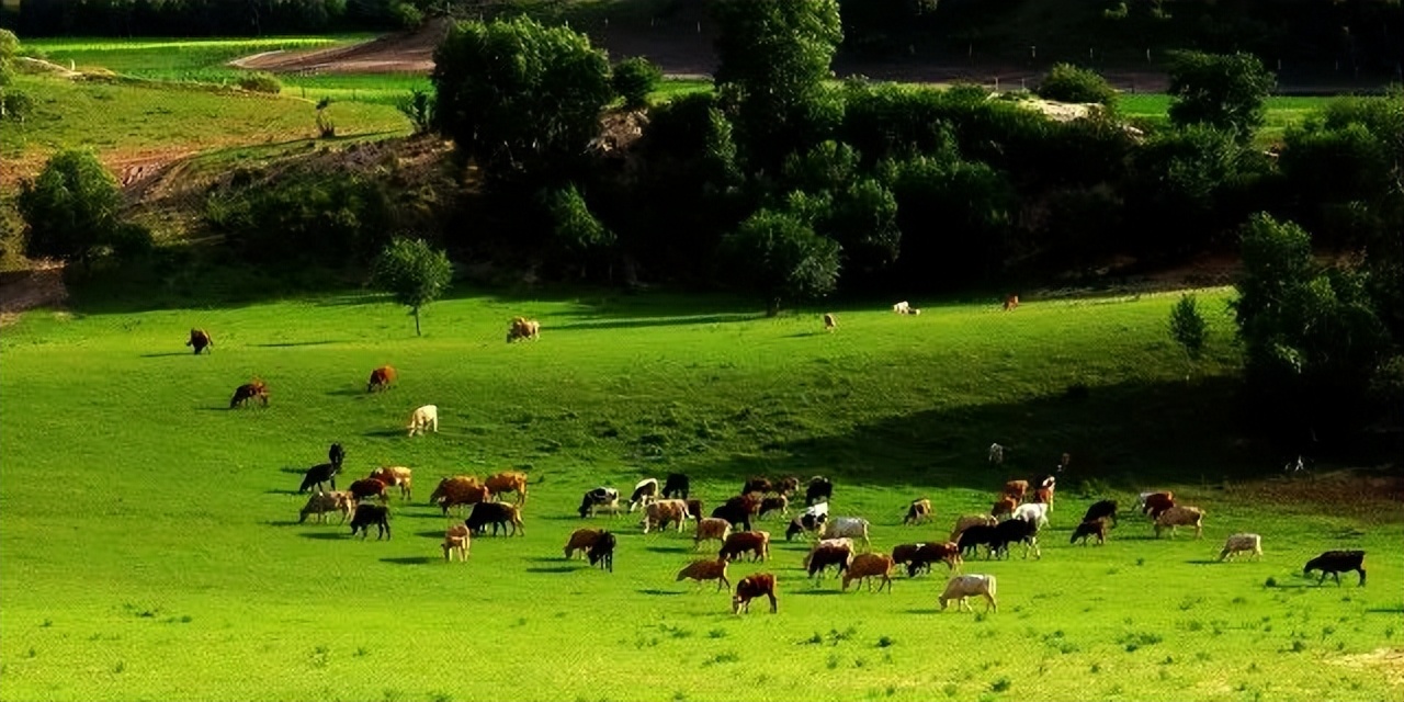 微游河北(248)|坐享绝美风光,尽在山水之间