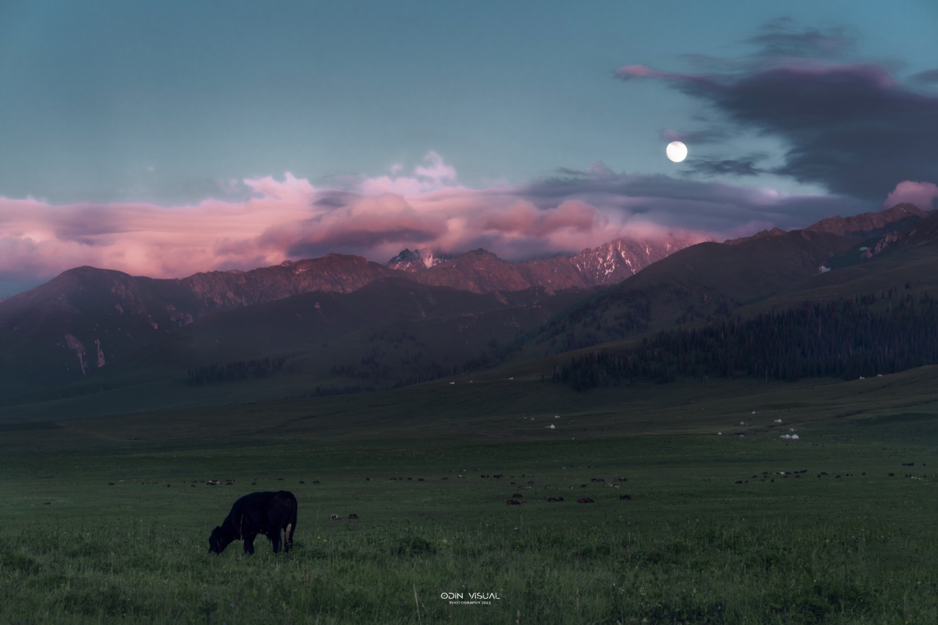 新疆伊犁之美,走了一圈才发现世界万物远不及你