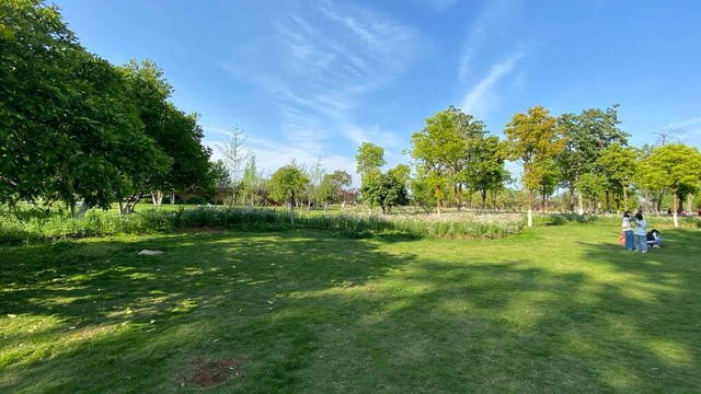 面对伤害你的人，最有效的应对策略正是这样