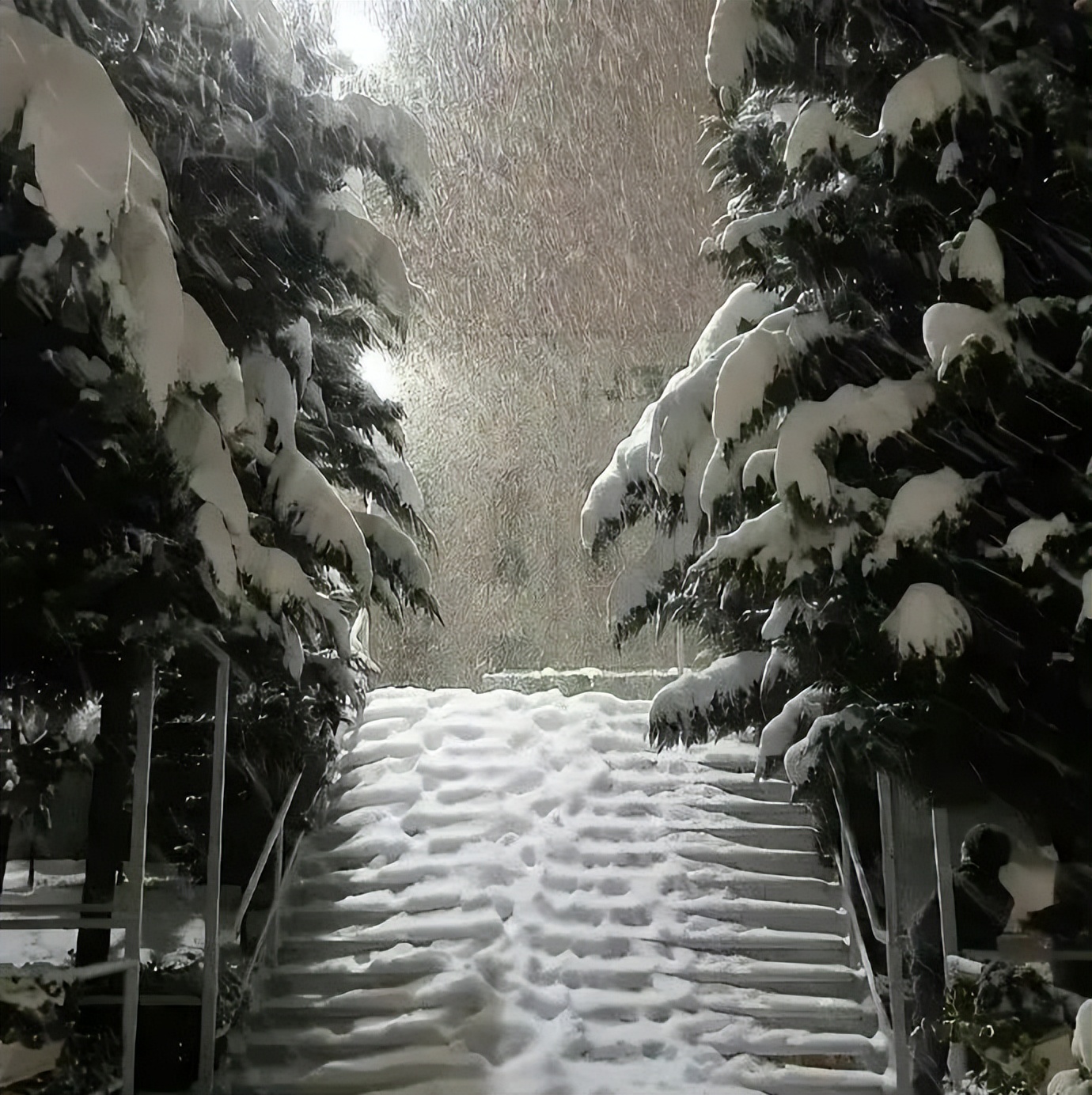 微信朋友圈背景图动态教程,背景图朋友圈高级感简约风