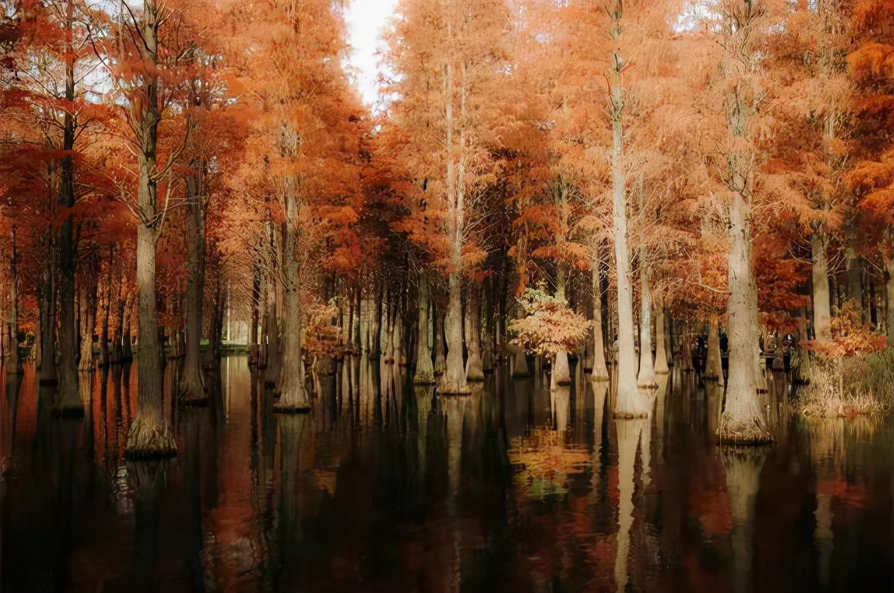 上海周边小众自驾游,上海小众有趣又不花钱的地方