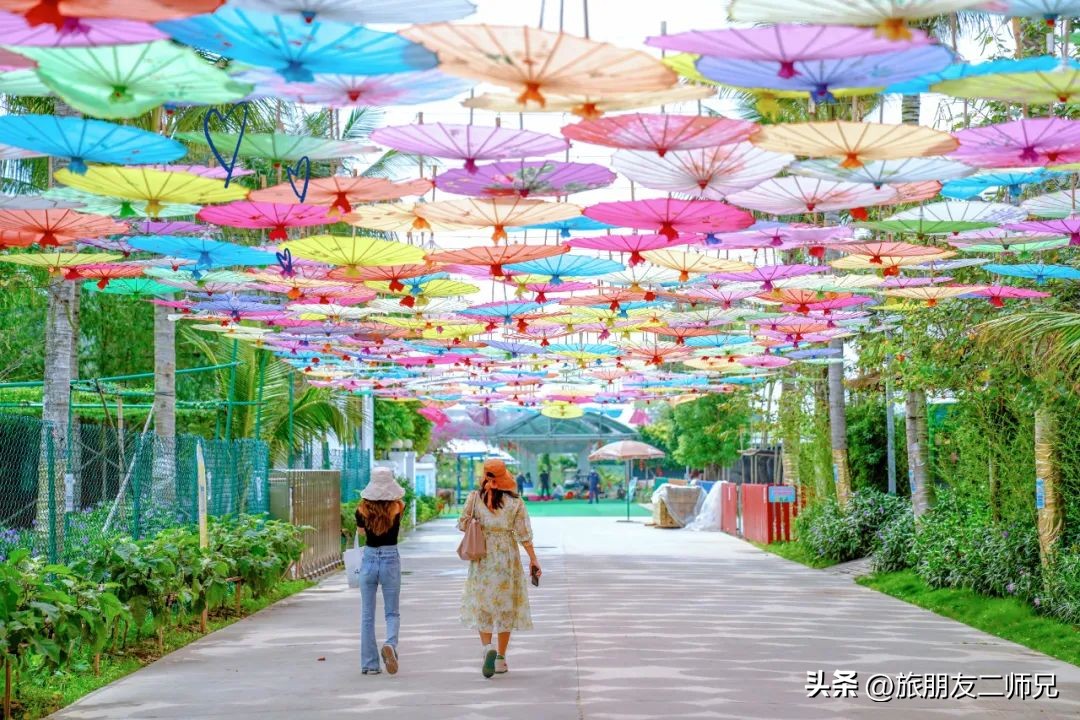 珠海东澳岛旅游一日游攻略路线,广州出发海陵岛旅游攻略两天一夜